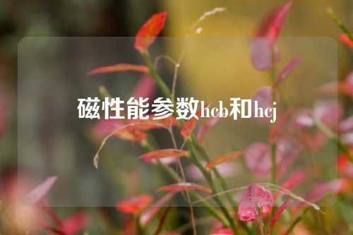 磁性能参数hcb和hcj