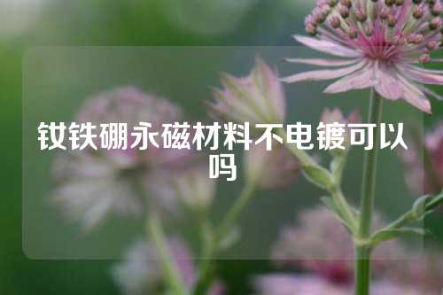 钕铁硼永磁材料不电镀可以吗