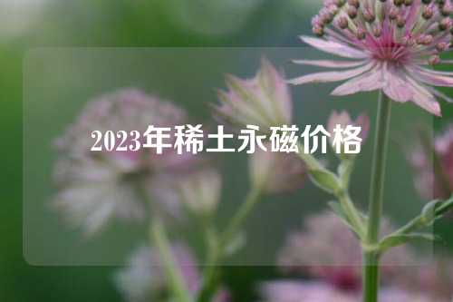 2023年稀土永磁价格