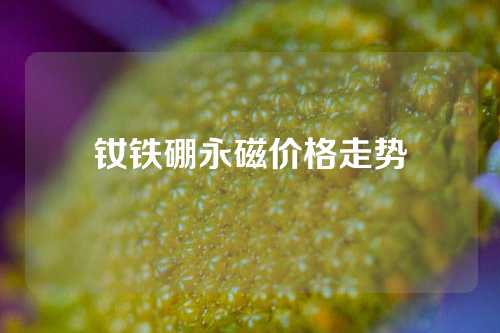 钕铁硼永磁价格走势