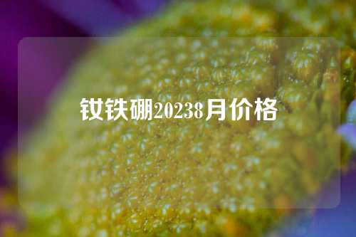 钕铁硼20238月价格