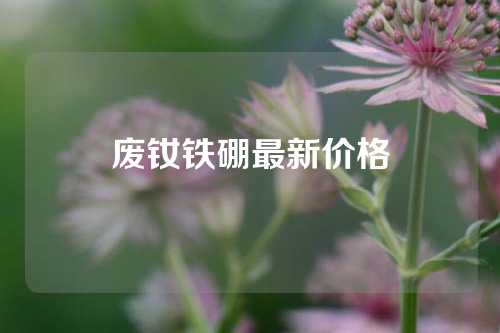 废钕铁硼最新价格