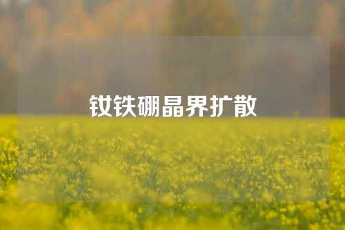 钕铁硼晶界扩散