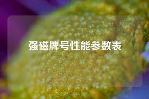 强磁牌号性能参数表