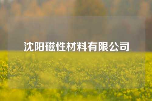 沈阳磁性材料有限公司