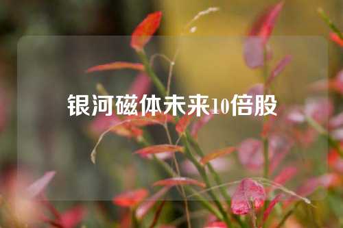 银河磁体未来10倍股