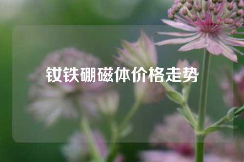 钕铁硼磁体价格走势