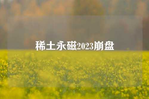 稀土永磁2023崩盘