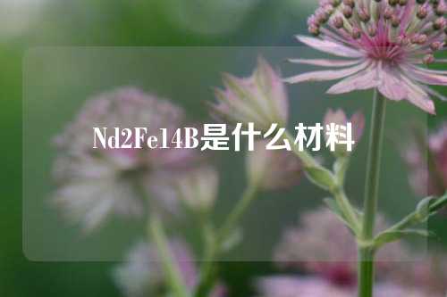 Nd2Fe14B是什么材料