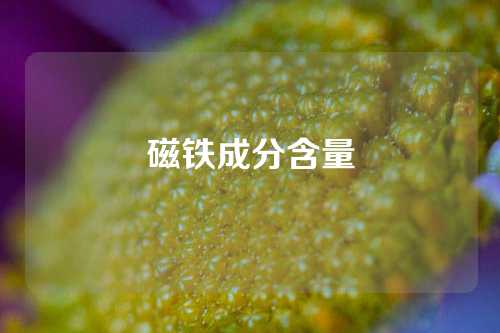 磁铁成分含量