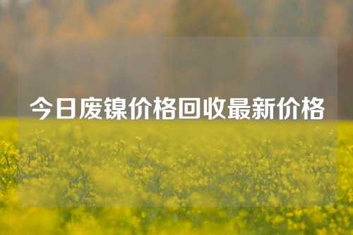 今日废镍价格回收最新价格