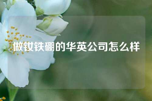 做钕铁硼的华英公司怎么样