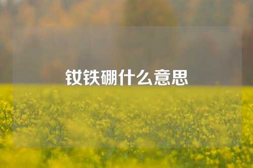 钕铁硼什么意思