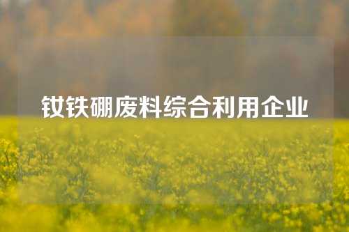 钕铁硼废料综合利用企业