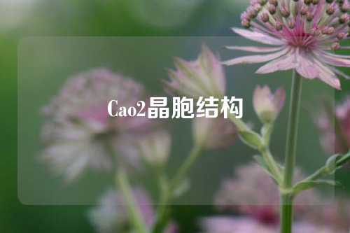 Cao2晶胞结构