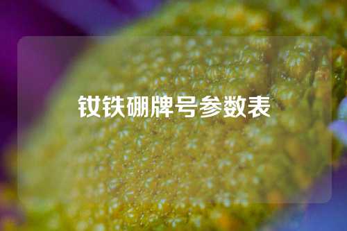 钕铁硼牌号参数表