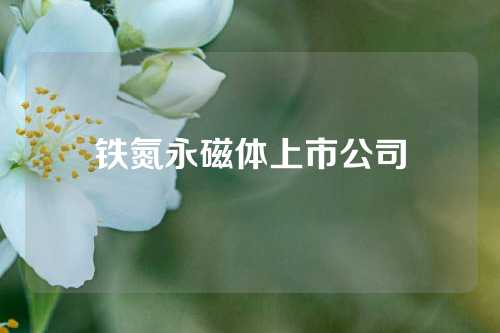 铁氮永磁体上市公司