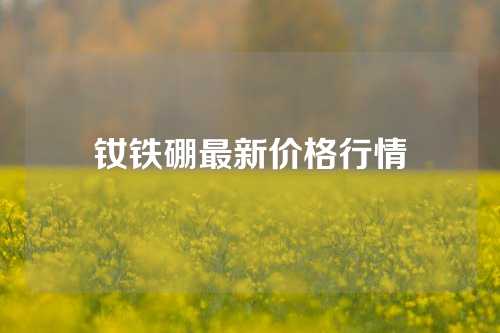 钕铁硼最新价格行情