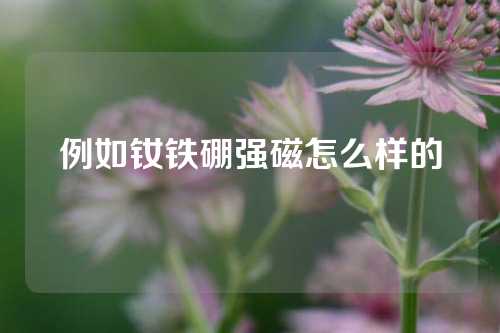 例如钕铁硼强磁怎么样的