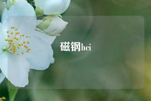 磁钢hci