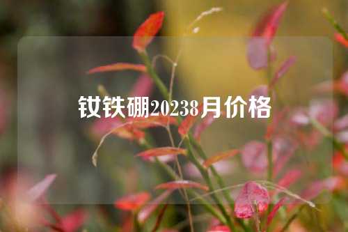 钕铁硼20238月价格