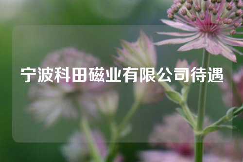 宁波科田磁业有限公司待遇