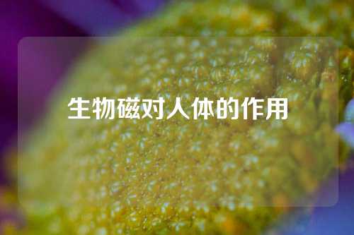 生物磁对人体的作用