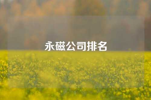 永磁公司排名