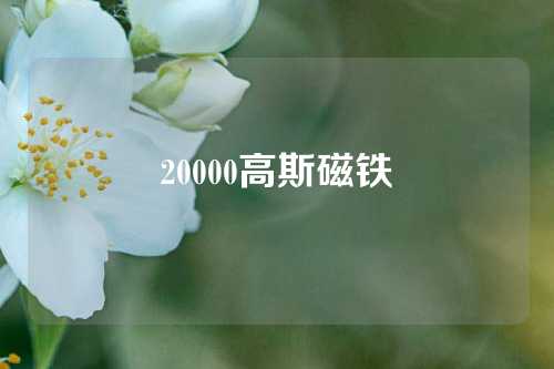 20000高斯磁铁