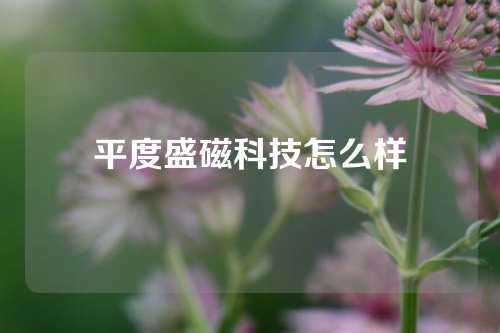 平度盛磁科技怎么样