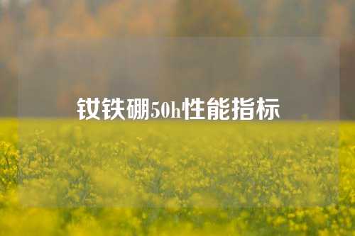 钕铁硼50h性能指标