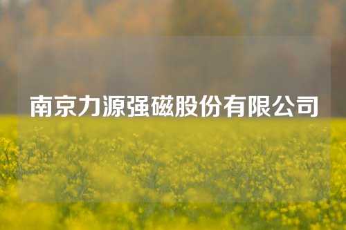 南京力源强磁股份有限公司