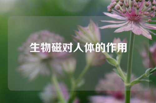 生物磁对人体的作用