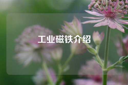 工业磁铁介绍