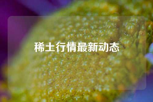 稀土行情最新动态