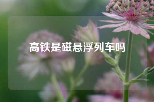 高铁是磁悬浮列车吗