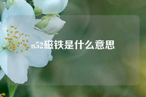 n52磁铁是什么意思