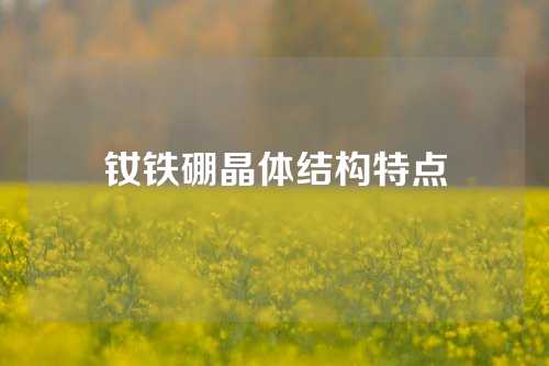 钕铁硼晶体结构特点