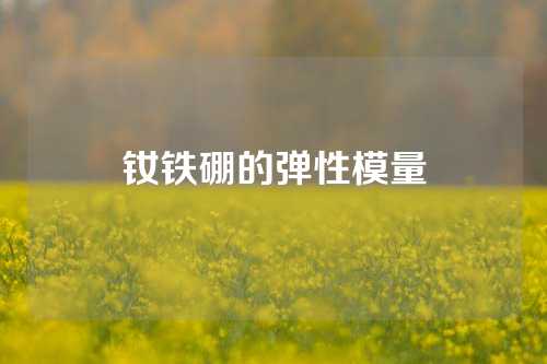 钕铁硼的弹性模量