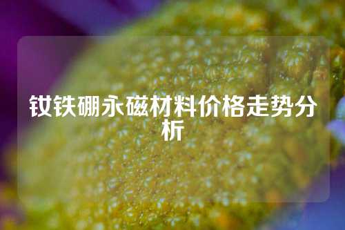 钕铁硼永磁材料价格走势分析