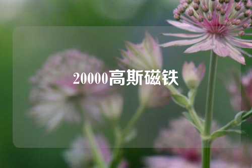 20000高斯磁铁