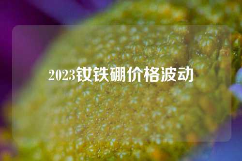 2023钕铁硼价格波动