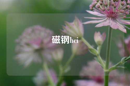 磁钢hci