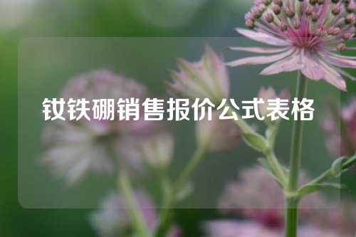 钕铁硼销售报价公式表格