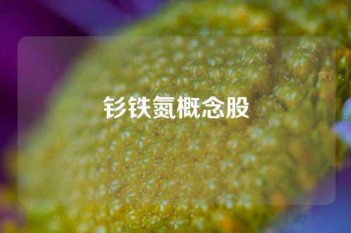 钐铁氮概念股