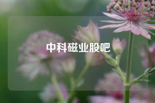 中科磁业股吧