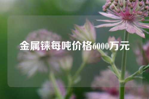 金属铼每吨价格6000万元