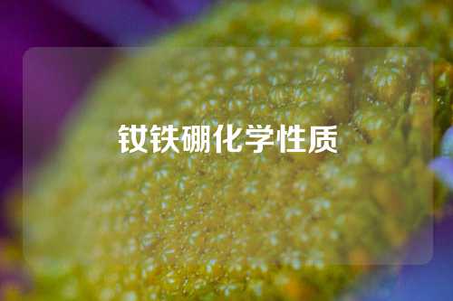 钕铁硼化学性质