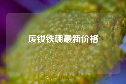 废钕铁硼最新价格