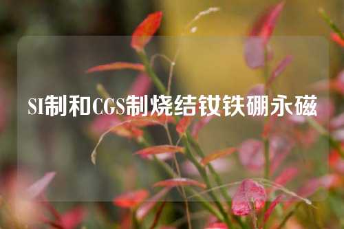 SI制和CGS制烧结钕铁硼永磁